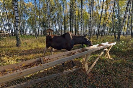 National Park Losiny Ostrov