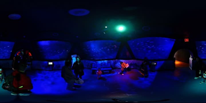 Sardines Exhibit at Legoland