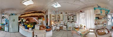 Flower Shop gigapixel panorama
